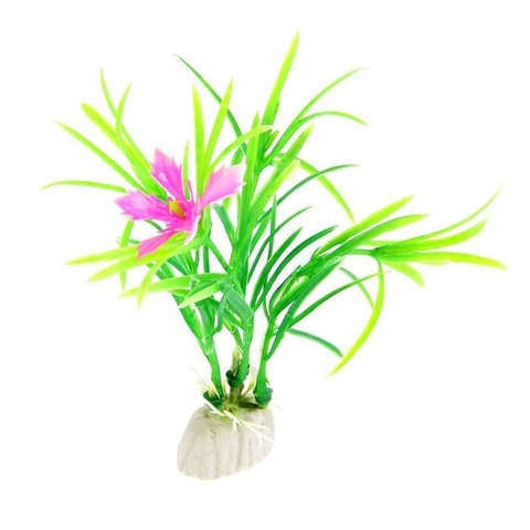 Растение с цветами для сенсорной коробочки