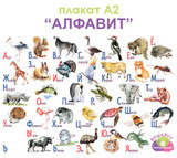 Плакат детский развивающий «Алфавит» ламинированный, А2 2